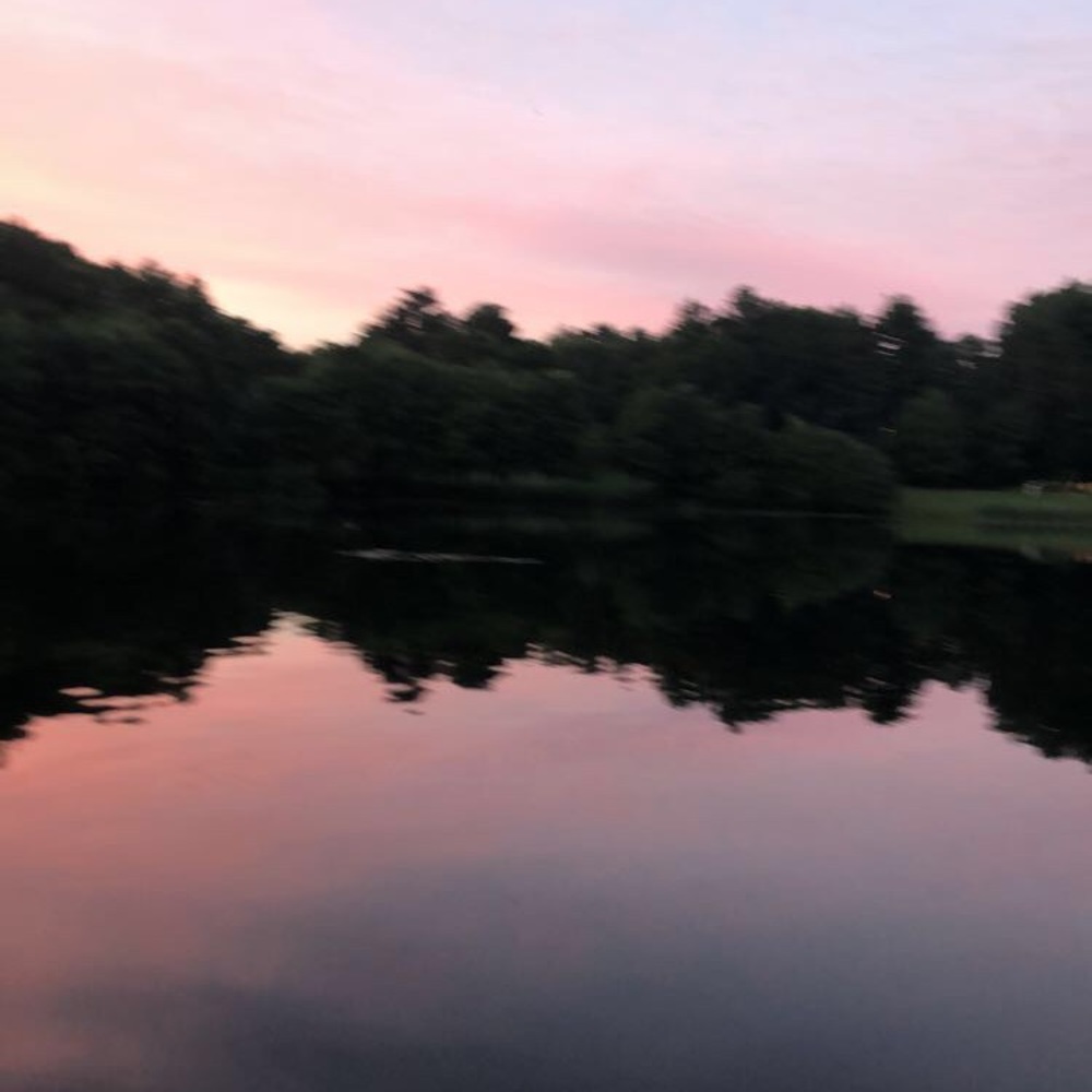 Meet your Posher, Isabella